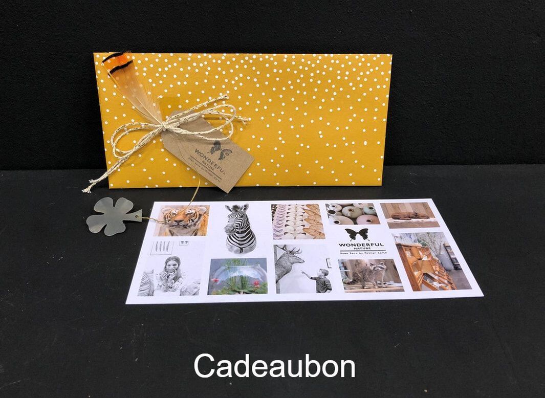 Cadeaubon - Nature is een verwonderwinkel in natuurlijke woonaccessoires